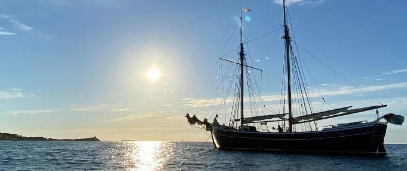 Træskib på havet