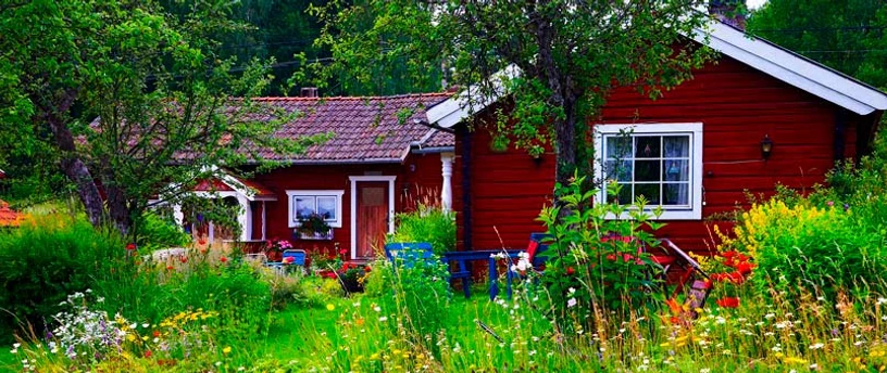 Kolonihave med flot rødt kolonihavehus og vild natur i haven