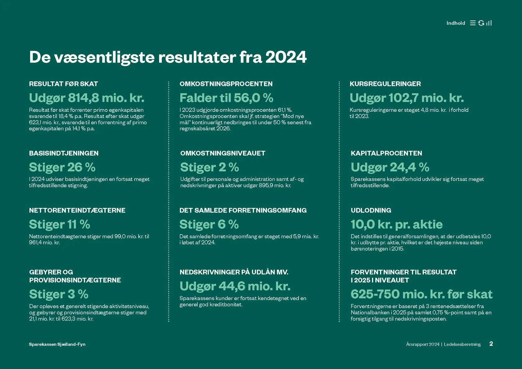 De væsentligste resultater fra 2024