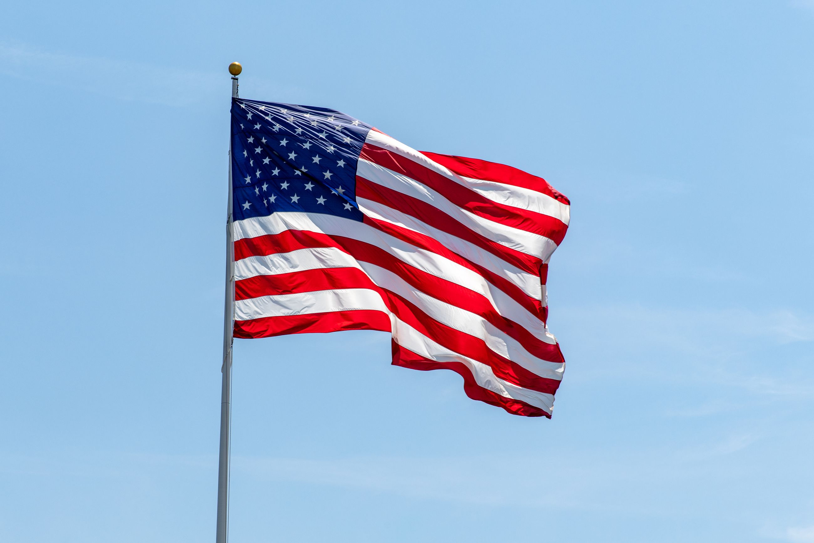 Det amerikanske flag